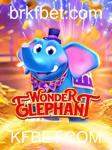 Descubra o Fascinante Mundo de WonderElephant: Regras e Estratégias
